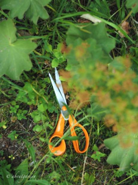 Forbici da giardino con manico arancione Forbici da giardino con manico arancione