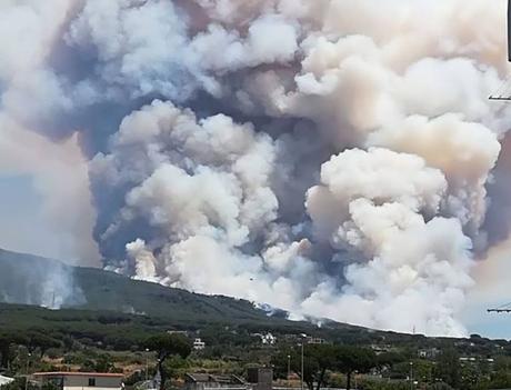 Video. Inferno sul Vesuvio, carbonizzati vigneti e pomodori: i danni sono devastanti Video. Inferno sul Vesuvio, carbonizzati vigneti e pomodori: i danni sono devastanti