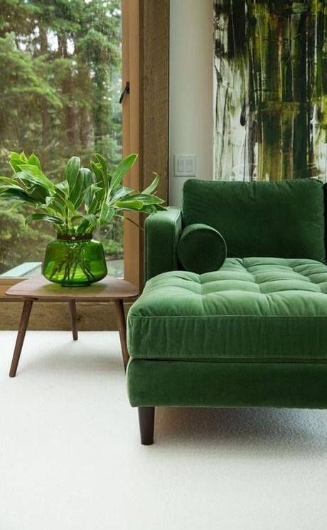 STILL LIFE: Green for home STILL LIFE: Green for home