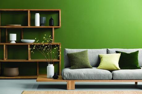 STILL LIFE: Green for home STILL LIFE: Green for home