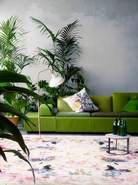 STILL LIFE: Green for home STILL LIFE: Green for home