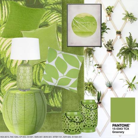 STILL LIFE: Green for home STILL LIFE: Green for home