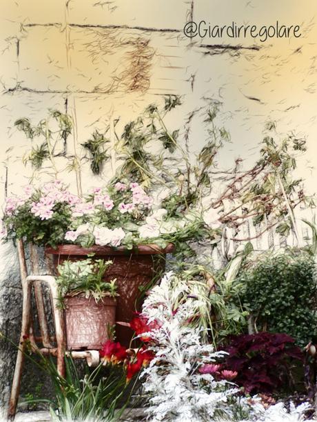Che giardino mi piace Che giardino mi piace