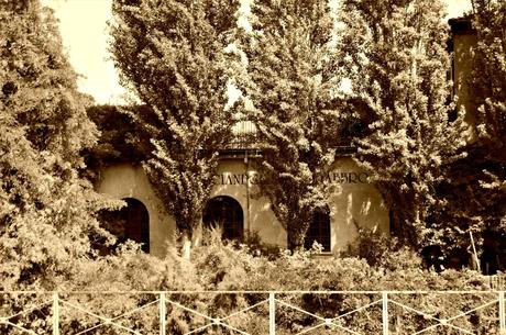 #ROMANTICALOMBARDIA LUNGO LA MARTESANA #ROMANTICALOMBARDIA LUNGO LA MARTESANA