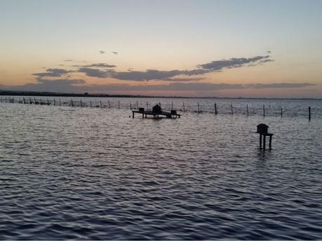 Viaggio vacanza sul lago di Lesina e di Varano, Puglia Viaggio vacanza sul lago di Lesina e di Varano, Puglia