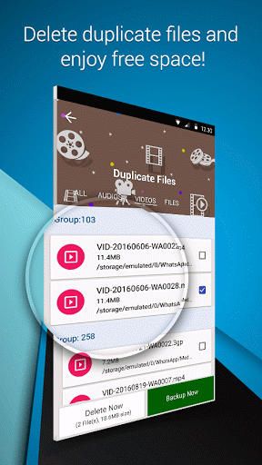 Duplicate Files Fixer file duplicati