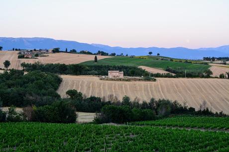 UN WEEKEND IN UMBRIA CON FARCHIONI1780 E UMBRIA JAZZ UN WEEKEND IN UMBRIA CON FARCHIONI1780 E UMBRIA JAZZ