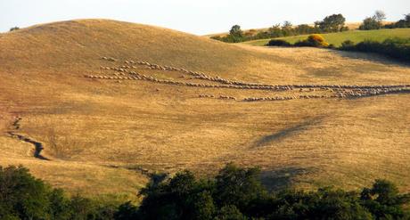 Toscana da sindrome di Stendhal Toscana da sindrome di Stendhal