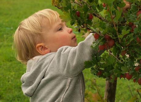 Come proporre l’educazione alimentare ai bambini con i giochi Come proporre l’educazione alimentare ai bambini con i giochi