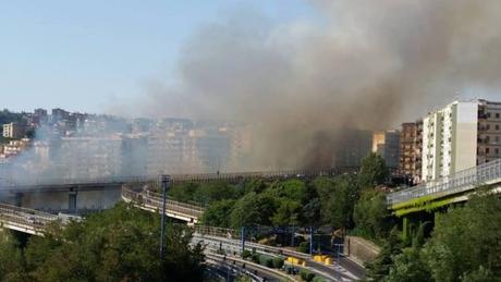 Napoli torna a bruciare: incendio al Vomero, vicino alla Tangenziale Napoli torna a bruciare: incendio al Vomero, vicino alla Tangenziale