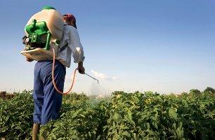 Erbicidi e pesticidi aumentano il rischio di disturbi respiratori pesticidi