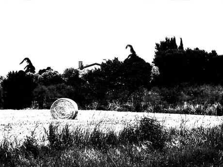 “Sono tutte balle”: serie fotografica di Silvia Castellani “Sono tutte balle”: serie fotografica di Silvia Castellani
