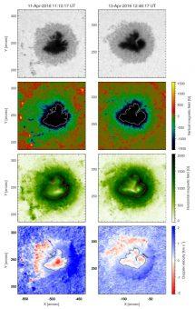 Quella treccia di plasma fra i lobi del cuore Quella treccia di plasma fra i lobi del cuore