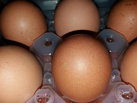 Scandalo uova al fipronil, il Ministero salute pubblica i chiarimenti Scandalo uova al fipronil, il Ministero salute pubblica i chiarimenti