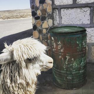 Lo sai che in Perù... ?? Lo sai che in Perù... ??