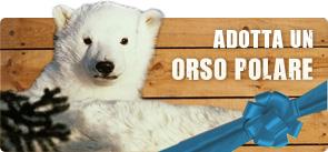 Notizie dall’Artico: gli orsi polari chiedono aiuto!