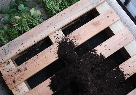 Come trasformare un pallet in un orto verticale da balcone/ How to turn a pallet into a vertical urban garden