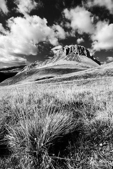 Convertire le foto di paesaggio in bianco e nero