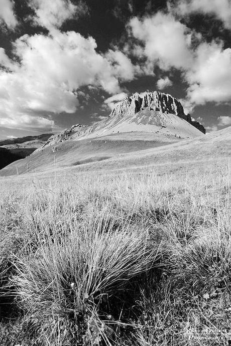 Convertire le foto di paesaggio in bianco e nero