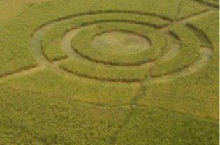 Cerchio nel grano Crop Circle scoperto in Indonesia