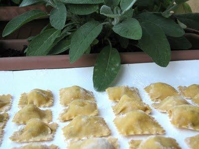 IDENTIKIT - G COME GALLETTO - RAVIOLI AROMATICI ALLA SALVIA ANANAS CON RAGU' DI GALLETTO - HOMEMADE RAVIOLI WITH CHICKEN RAGU'