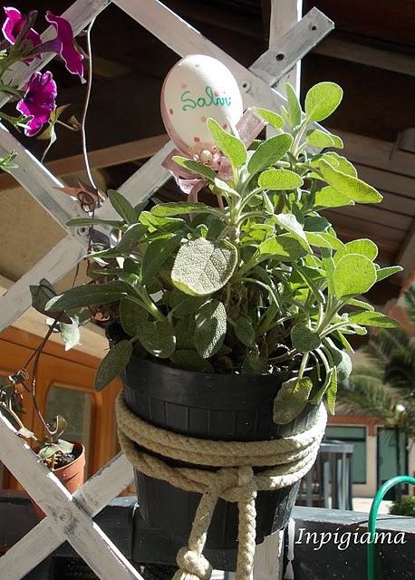 Erbe aromatiche in balcone: come catalogare ed esporre menta, salvia & Co. / Herbs on the balcony: how to tag and expose mint, sage & Co.