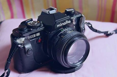 My collection My collection