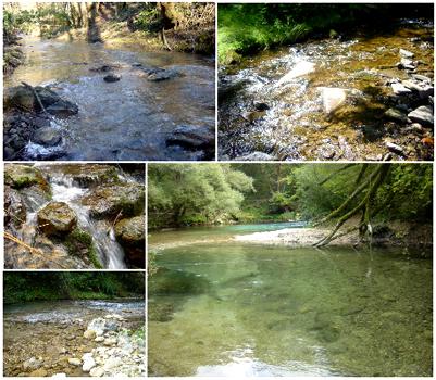 Il grande fiume Il grande fiume