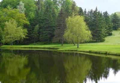 Il grande fiume Il grande fiume
