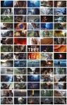 “The Tree of Life” di Terrence Malick