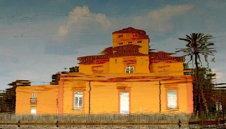 Ostrichina Ostrichina