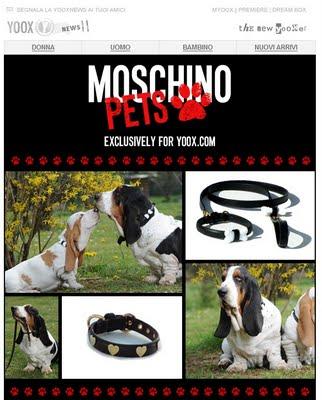 Moschino Pets - Exclusively for yoox.com
