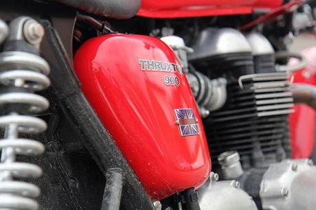 Red Lucy - Contest EtnaDay Red Lucy - Contest EtnaDay