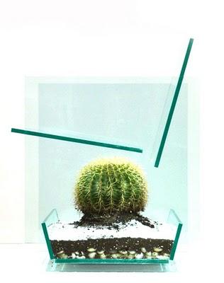 IL PUNGENTE DESIGN DELLA CACTUS CHAIR