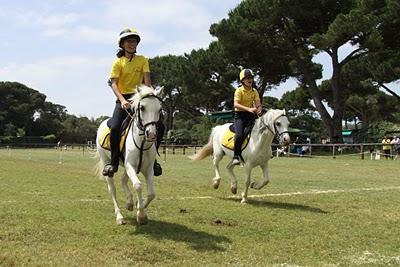 giornata di cavalli, con sorpresa a casa giornata di cavalli, con sorpresa a casa