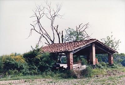 estemporanea fotografica