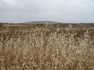 Riserva naturale Macalube d'Aragona