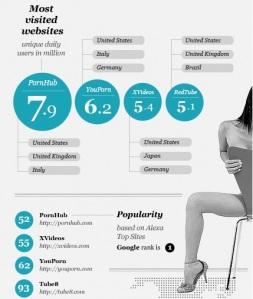 webcult Cosa cerca l’utente in Internet?