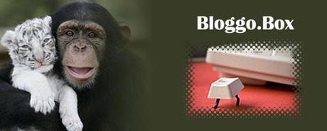 Bloggo.Box - un viaggio nel web attraverso le immagini
