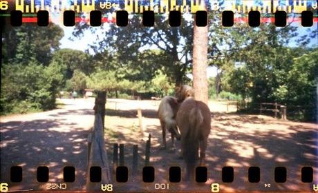 LOMOGRAPHY • PIMhole e Fujicolor 100 LOMOGRAPHY • PIMhole e Fujicolor 100