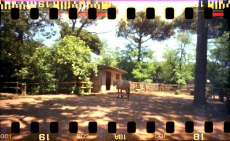 LOMOGRAPHY • PIMhole e Fujicolor 100 LOMOGRAPHY • PIMhole e Fujicolor 100