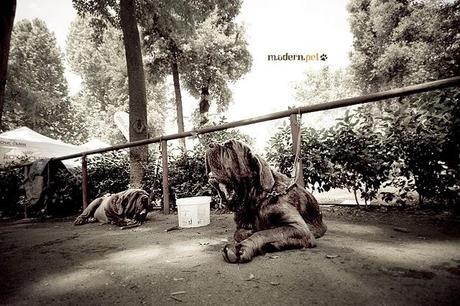 Expo Internazionale Firenze 2011 - location Expo Internazionale Firenze 2011 - location