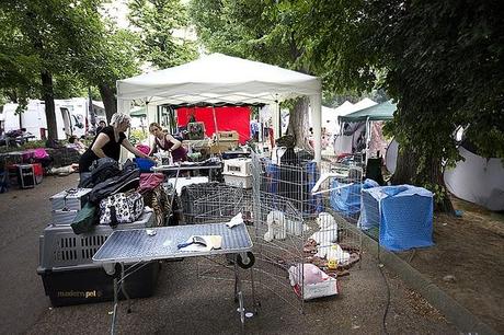 Expo Internazionale Firenze 2011 - location Expo Internazionale Firenze 2011 - location