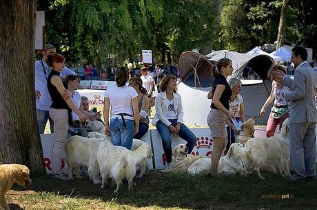 Expo Internazionale Firenze 2011 - location