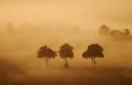 Il fascino della nebbia nella fotografia