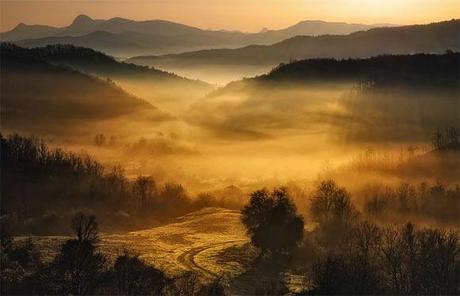 Il fascino della nebbia nella fotografia