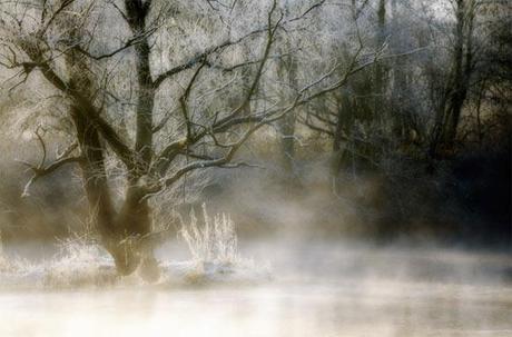 Il fascino della nebbia nella fotografia