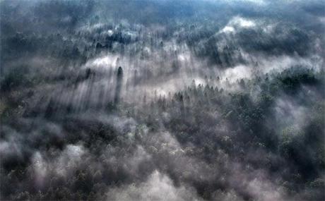 Il fascino della nebbia nella fotografia