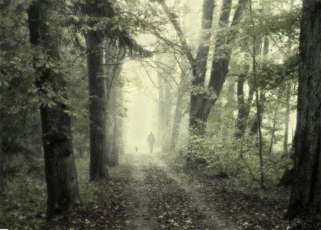 Il fascino della nebbia nella fotografia