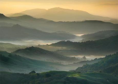 Il fascino della nebbia nella fotografia